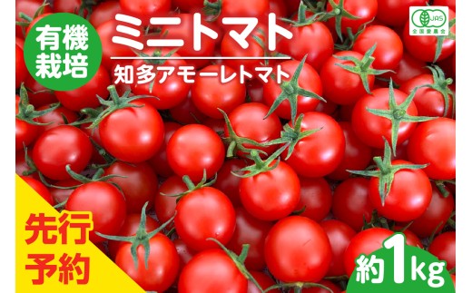 有機栽培ミニトマト　知多アモーレトマト　約1kg／ とまと 野菜 高糖度 愛知県 特産品
