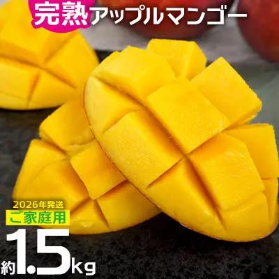 マンゴー【2026年発送】ご家庭用でも極上に美味しい完熟アップルマンゴー約1.5kg 農園直送！