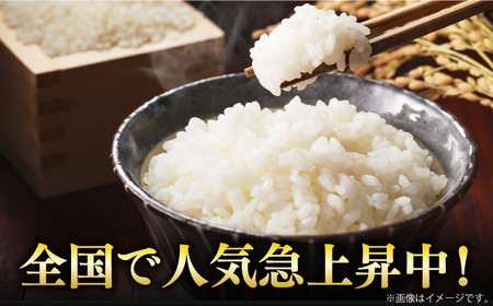 令和6年産 さがびより 白米 計6kg（2kg×3袋） / 精米 / 佐賀県 / 株式会社森光商店 [41ACBW009]