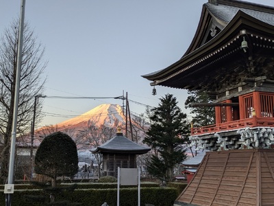 承天寺　忍野富士どうぶつ霊園集合墓