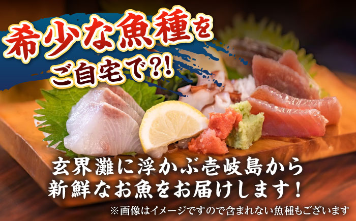 【お中元対象】【厳選】 壱岐島 刺身セット 3～4人前 （60g×6パック） 《壱岐市》【あかりや】 お刺身 刺し盛り 刺盛り 鮮魚 海鮮 海鮮丼 お造り 小分け タイ マグロ カツオ [JFO001