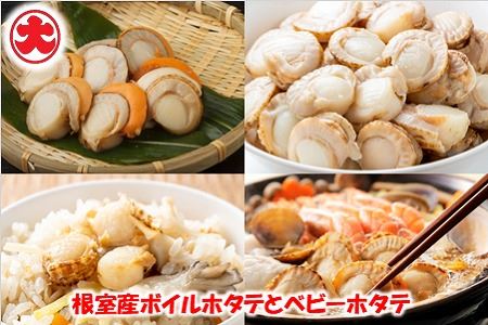 ＼漁業者応援品／【北海道根室産】ボイルホタテ800g×2P、ボイルベビーホタテ1kg×1P B-01060