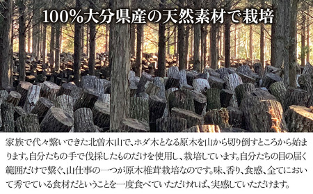 原木生椎茸 どんこ大 400g 以上と椎茸粉 30g セット 生しいたけ 乾しいたけ 干し椎茸 干ししいたけ 乾燥しいたけ 乾燥椎茸 大分県産 九州産 中津市 国産 熨斗対応可