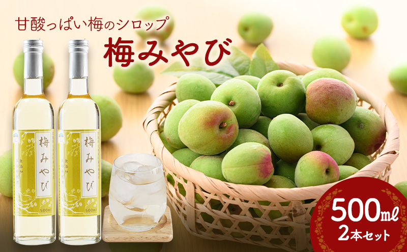 梅みやび（梅シロップ）500ml×2本セット 