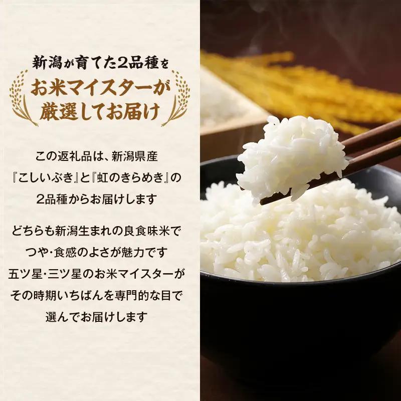 【先行予約】R8年産 新潟県産 品種おまかせ  5kg 6か月定期便 新潟県 新潟市産 令和8年産 お米 精米 米 ご飯 送料無料