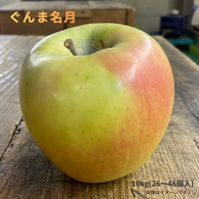 訳あり/家庭用 ぐんま名月 約10kg(26～46個)【2026年11月～順次発送予定】【配送不可地域：離島】