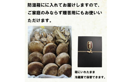 朝採り新鮮！分厚いしいたけ　チビしいたけセット【1-297】