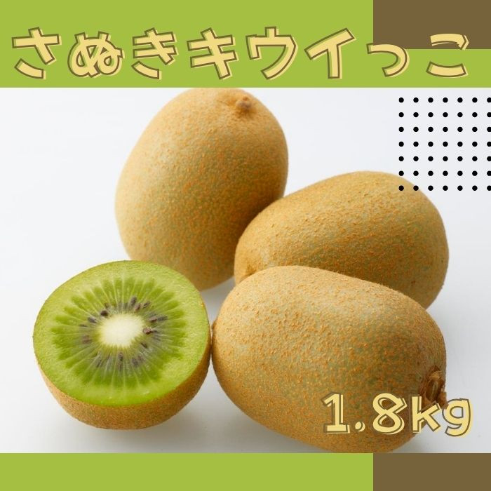 
            さぬきキウイっこ キウイフルーツ 1.8kg【予約受付中！令和7年11月中旬頃より発送！】【A-114】
          