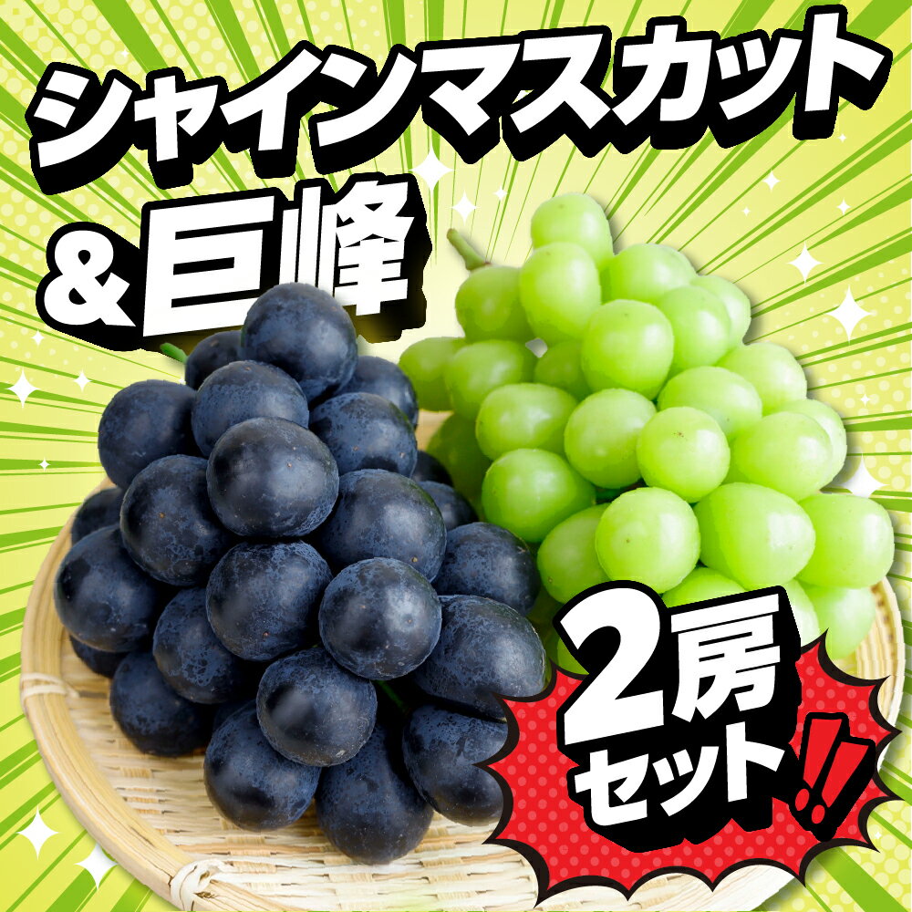 【ふるさと納税】《先行予約》シャインマスカット＆巨峰 ぶどう マスカット フルーツ 甘い 1.2キロ 果物 豊橋市 愛知県 ギフト プレゼント お祝い セット 組み合わせ 詰め合わせ 旬 食べ比べ 高級 希少 贈答 贈り物