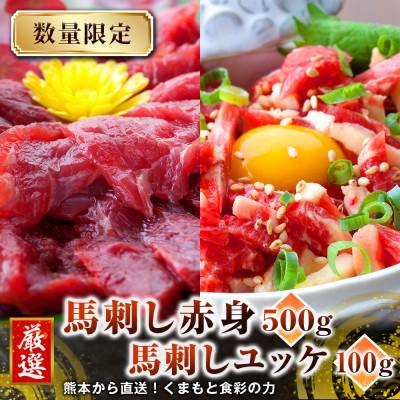 ふるさと納税 人吉市 熊本産馬肉赤身500gとユッケ100g、小袋醤油と生姜各10袋、ユッケたれ付(人吉市)