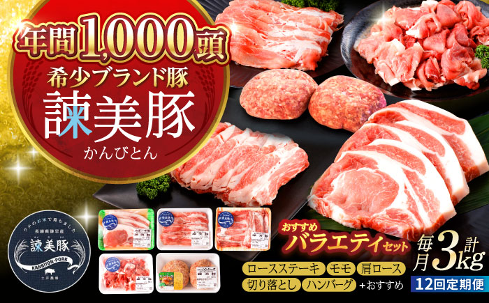 【12回定期便】諫美豚おすすめバラエティセット3kg回 / 諫美豚 豚肉 肩ロース ステーキ モモ 切り落とし ハンバーグ ロースステーキ / 諫早市 / 株式会社土井農場 [AHAD011]