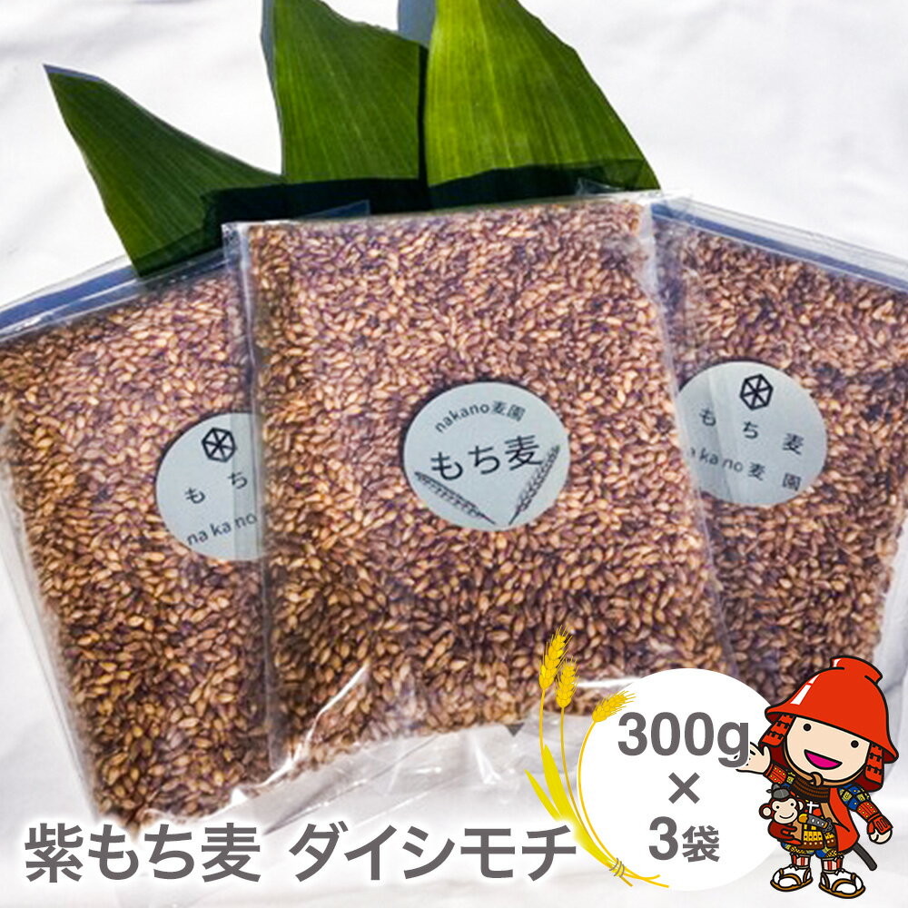 【ふるさと納税】山々と源流の山国町「nakano麦園」の希少な『紫もち麦』ダイシモチ300g×3袋 | 900g 900グラム 紫もち麦 もち麦 麦 ダイシモチ 紫麦 雑穀 穀物 希少 国産 麦ご飯 大分県 中津市 送料無料