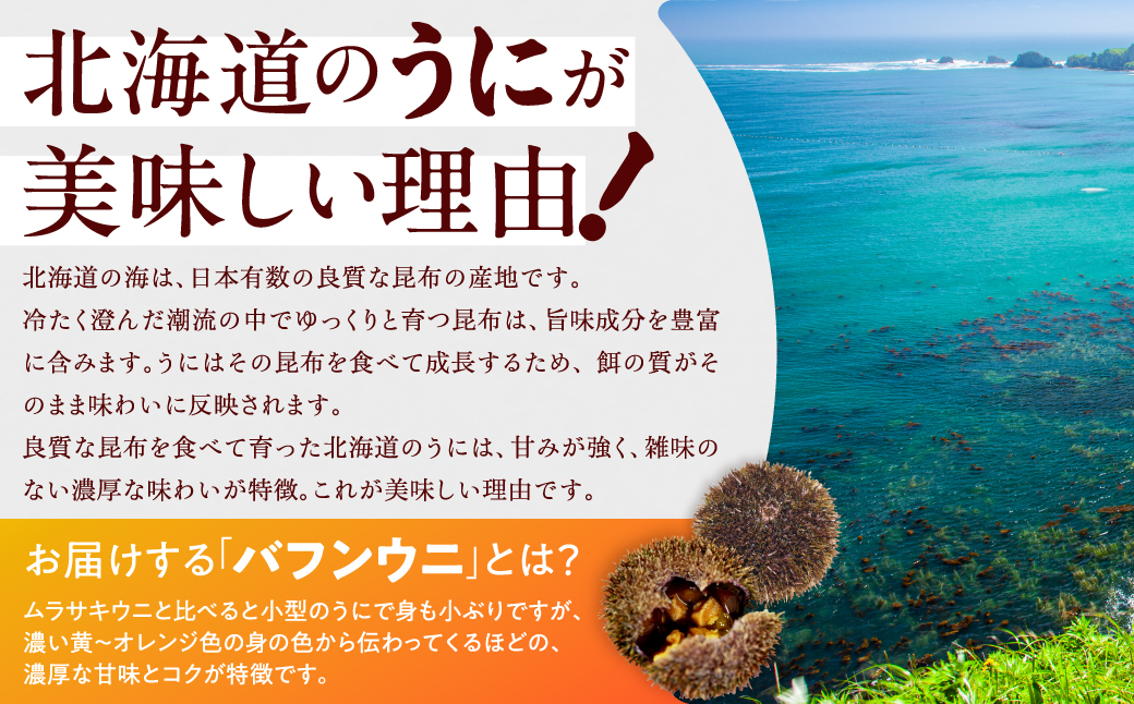 ≪プロ厳選≫最高級折うに(極)150g_H0014-110