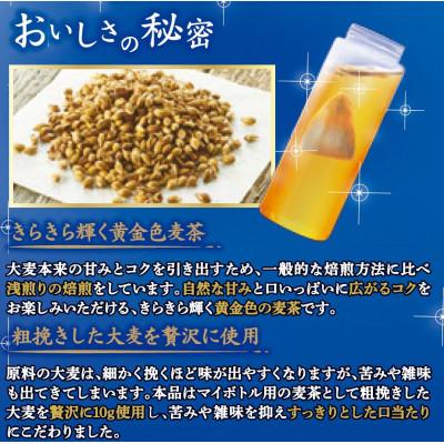 ふるさと納税 中央市 【はくばく】水出しでおいしい麦茶マイボトル用　30P×6袋 |  | 01