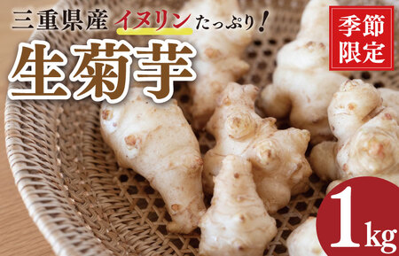 菊芋 1kg 生菊芋