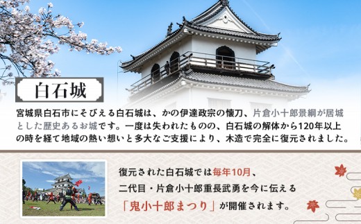 【お城で体験！】本格甲冑着用体験チケット 3名様分（ 1名様分×3枚）