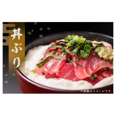 ふるさと納税 瀬戸内町 奄美大島産養殖クロマグロ(4柵セット) |  | 02