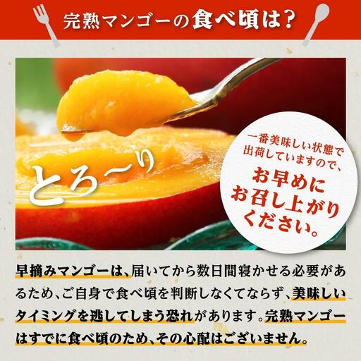 【ご家庭用3-4玉（1.0kg）】大崎完熟マンゴー「郷の恵（さとのめぐみ）」