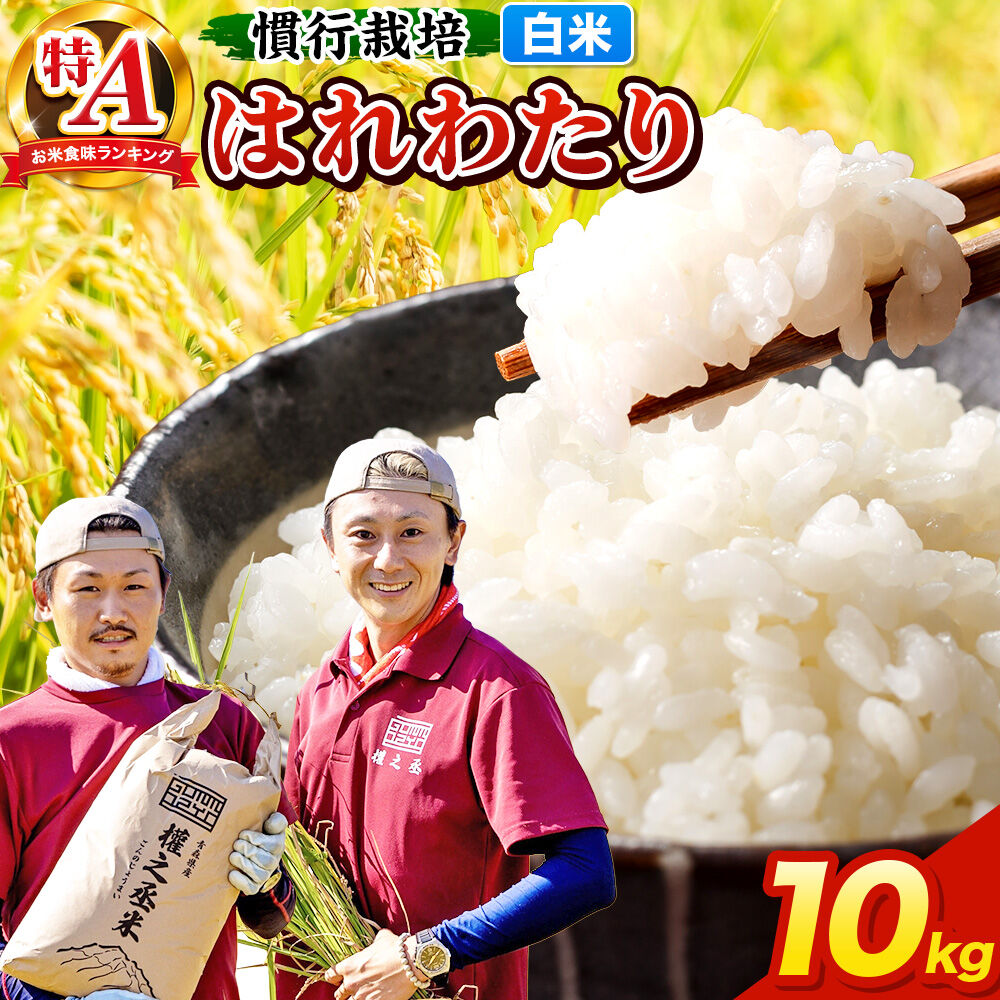 米 はれわたり 10kg［白米］特A 慣行栽培 青森県産 令和7年産 [お米 東北 精米 青森県 弘前市 白米 ブランド米]