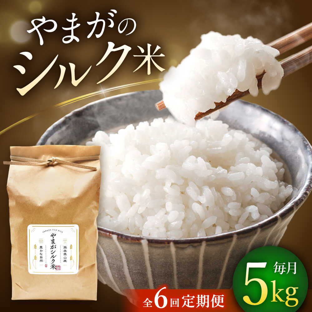 【ふるさと納税】【全6回定期便】やまがシルク米 5kg【株式会社 あつまるホールディングス NSP山鹿工場】[ZBR041]