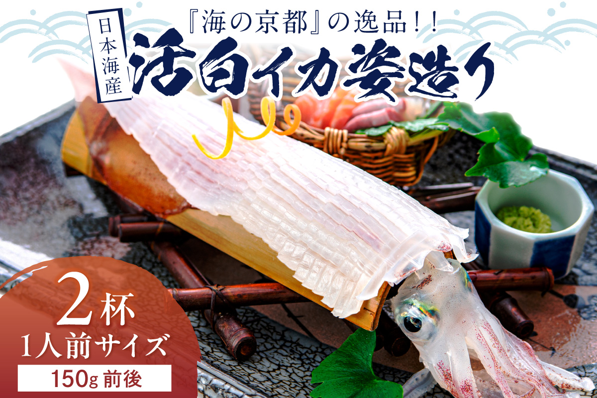 日本海産　『海の京都』の逸品！！　活白イカ姿造り（クリスタル白いか）1人前サイズ2杯（150g前後）（2027年6月上旬～発送） ふるさと納税 海鮮 鮮度抜群 新鮮 海鮮 いか イカ 簡単調理 生産者応援 送料無料 生食 魚介類 活イカ 日本海産 刺身 BBQ 美味 逸品　YK00697