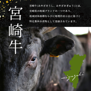 ＜8月発送＞ 訳あり 宮崎牛 モモステーキ 約 400g | 内閣総理大臣賞 日本一 A4 ~ A5 ランク  お肉 牛肉 肉 宮崎牛 黒毛和牛 ブランド牛 にく 赤身 ヘルシー 国産 ブランド 牛 