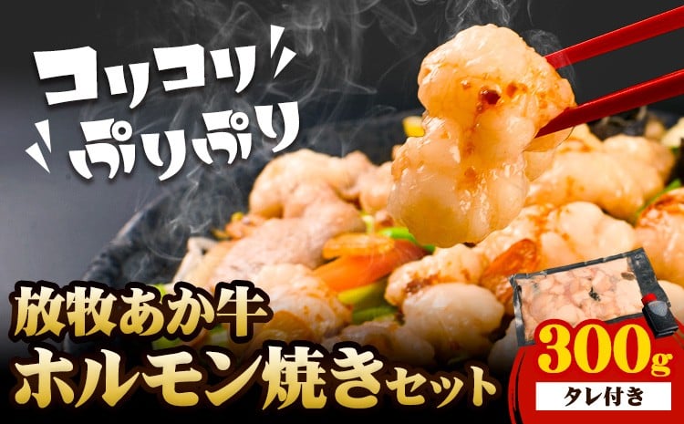 
                  放牧 あか牛 ホルモン焼き 300g 焼肉正 ホルモン ギフト 贈り物 お歳暮 贈答 熊本 阿蘇 産山村 《30日以内に出荷(土日祝除く)》牛肉 牛 あか牛 おつまみ
                