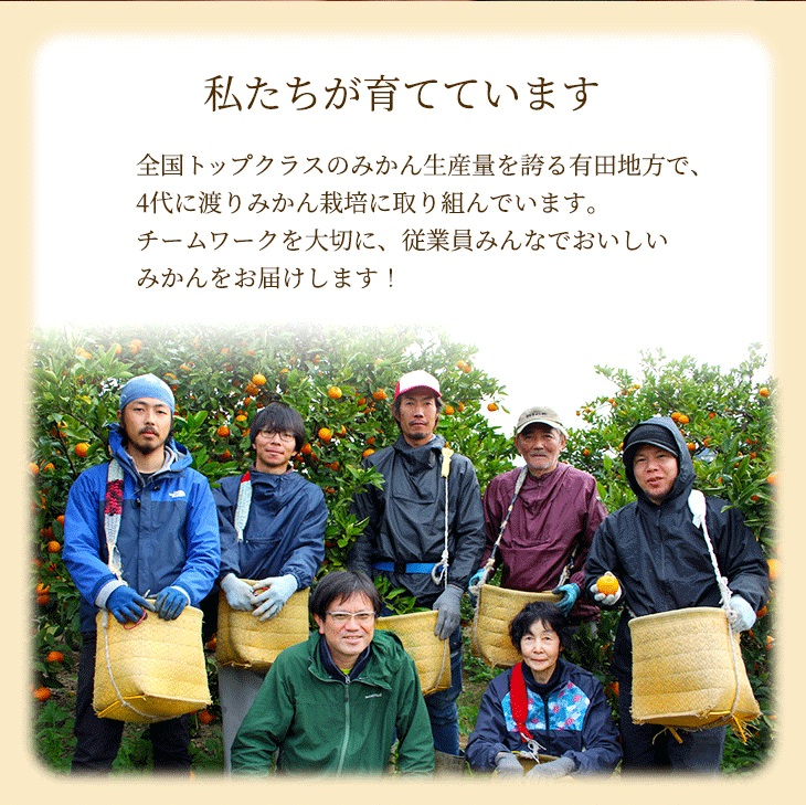 〈10月より発送〉ゆら早生 プレミアム有田みかん 2.5kg+250g（傷み補償分） ｜ 柑橘 果物 フルーツ 糖度 甘い 濃厚 コク ジューシー 光センサー ※北海道・沖縄・離島への配送不可 ※20