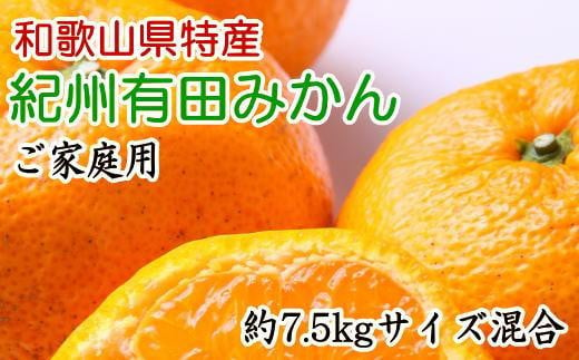 和歌山有田みかん7.5kg ご家庭用 (サイズ混合) ★2024年11月中旬頃より順次発送【TM103】