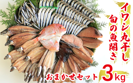 【高評価★ 4.9】 訳あり 魚の丸干し＆開き おまかせセット3kg 魚 海鮮 干物 ひもの 丸干し 切り身 おつまみ おかず 人気 珍味 グルメ 規格外 国産 丸干し ウルメイワシ マイワシ カタクチイワシ キビナゴ 開き カマス アジ サバ ウルメ タイ みりん干し カマス サバ ウルメ カツオ 干物 ひもの 丸干し 切り身 おつまみ おかず 人気 珍味 グルメ 規格外 国産 丸干し ウルメイワシ マイワシ カタクチイワシ キビナゴ 開き カマス アジ サバ ウルメ タイ みりん干し カマス サバ ウル