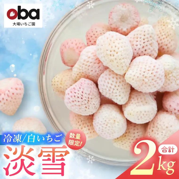 【数量限定】冷凍いちご 希少なプレミアム白イチゴ『淡雪』1kg入×2袋 合計2kg オリジナルレシピ有り（DO-1）