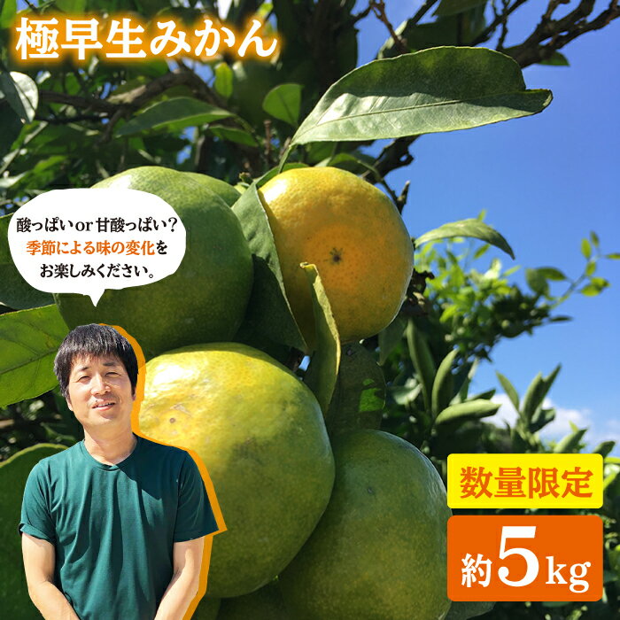 【ふるさと納税】【10月中旬より発送】 極 早生みかん （岩崎・上野）約 5kg ＜Da・IWASAKI FARM＞ [CCZ002] みかん ミカン 蜜柑 柑橘 西海 みかん 贈答 プレゼント ギフト