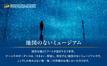【ヒルズ周遊（麻布台・虎ノ門）ペア体験】チームラボボーダレス／ステーションタワー45F NODE DINING コース料理