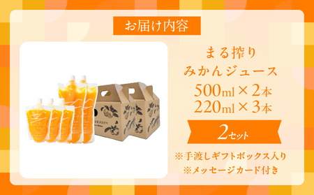 果汁 100％ まる搾り みかん ジュース 手渡しギフトボックス入り (500ml×2本、220ml×3本)×2セット 機能性表示食品 飲料 ソフトドリンク 果物 フルーツ 柑橘 シャーベット 国産 