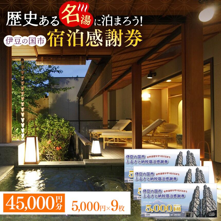 伊豆の国市宿泊感謝券（5000円×9枚） ／ 旅行券 旅行 温泉 体験 チケット 送料無料 静岡県