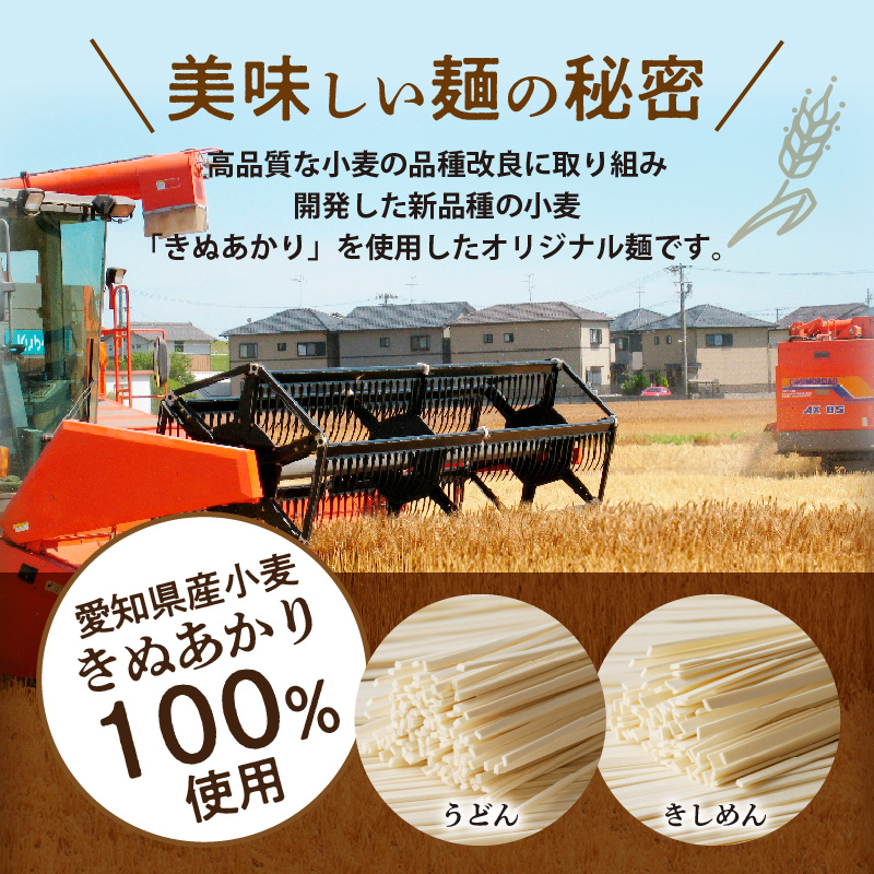 愛知県産小麦100％使用「碧海の恵み」 うどん＆きしめんセット 250g×8袋 乾麺 冬用ギフト 小笠原製粉 H008-243