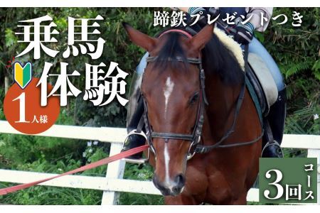 乗馬教室【3回コース】( 蹄鉄 プレゼントつき) | 乗馬 体験 運動 ふれあい 奈良県 平群町