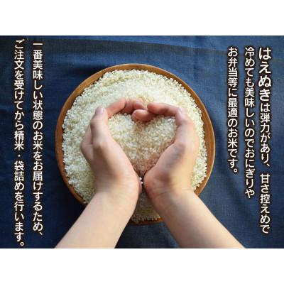 ふるさと納税 鶴岡市 【令和6年産】山形県庄内産 小池半左衛門のお米　はえぬき 精米 5kg×2袋 計10kg |  | 01