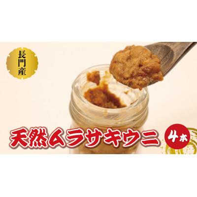 ふるさと納税 長門市 天然紫うに瓶詰め 60g×4本 合計240g (1412)
