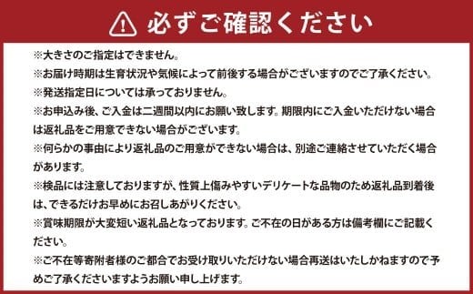 浦臼産 にんにく 約2kg 【2026年9月上旬～2026年12月中旬発送予定】