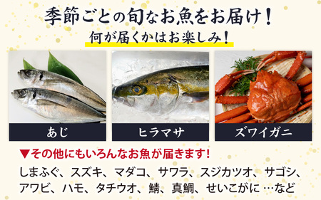 【日本海鮮魚】漁師厳選鮮魚真空冷凍セット約3.5g～4.0kg(5種以上)  | 魚 詰め合わせ 新鮮 煮物 焼き物 お造り 刺身 晩酌 食卓 BBQ 急速冷凍 真空パック 鮮魚セット 詰合せ 鮮魚店