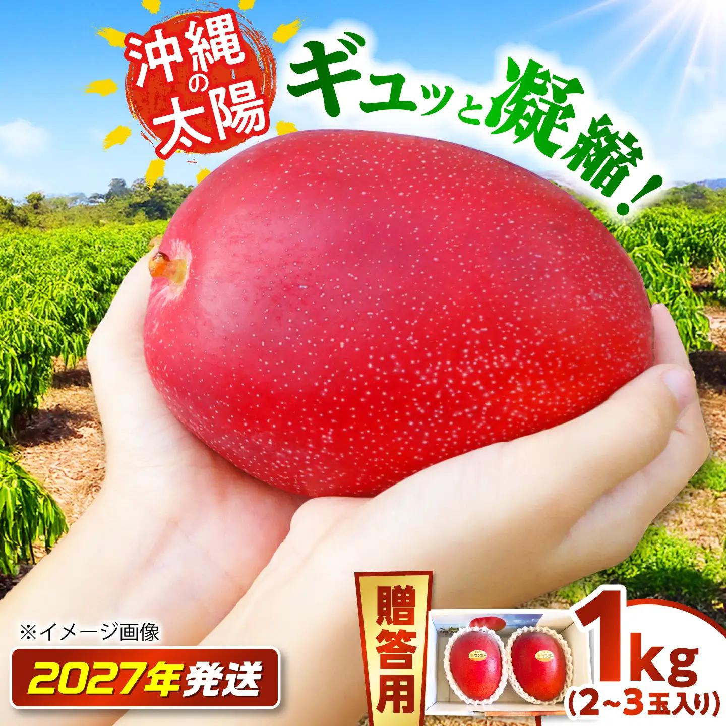 【贈答用】マンゴー 太陽のめぐみ 1kg (化粧箱入り) BCEW001