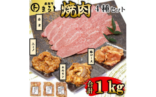 ＜飛騨牛＞焼肉4種B-3セット　赤身肉と味付けホルモンなど　合計1kg【1616690】