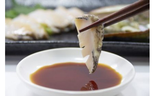 【11月～12月発送】三陸産！活アワビ 約1kg (6～8個)【期間限定】｜冷蔵 岩手県 大槌町 あわび 人気 鮑 いわて iwate 2026【配送日・曜日指定不可】【08】