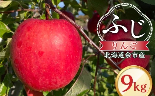 【先行予約：2026年12月上旬より発送】りんご（ふじ）9kg【北海道余市町産】