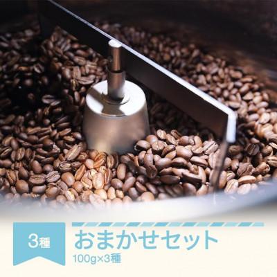 ふるさと納税 村山市 ラビットビレッジコーヒーのコーヒー おまかせセット 100g×3種セット コーヒー豆
