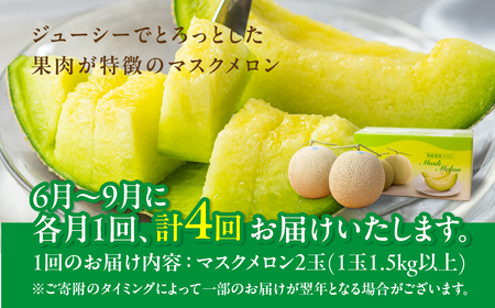 【定期便】先行予約 マスクメロン 4回  伊良湖産 2玉 2025年6月スタート  箱詰め メロン フルーツ 果物 お中元 お取り寄せ ギフト 渥美半島 田原市  マルカ農園 産地直送 送料無料 48