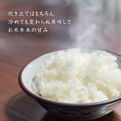 ふるさと納税 十日町市 【毎月定期便】魚沼産コシヒカリ【精米】10kg全10回 |  | 01