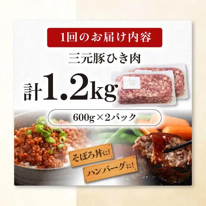 【全6回定期便】 ひき肉 1.2kg (600g×2P) ひき肉 AJAP124