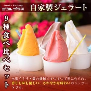 【I-3】＜先行予約受付中！2024年3月以降順次発送予定＞自家製こだわり製法！焼きドーナツ(15個)・ジェラート(9個)【ミツル・プラス】